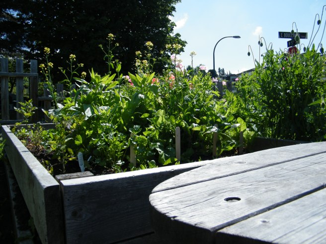 A bench in front of a raised bed full of flowers and vegetables.