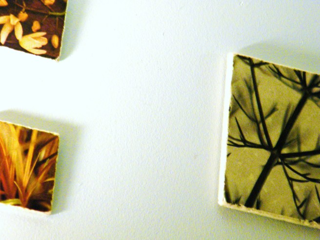 Photographic tiles against a grey wall. Photographic tiles against a grey wall.