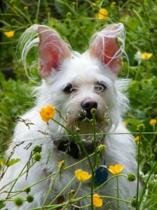 Roxy, auditioning for Love Story Roxy, auditioning for Love Story