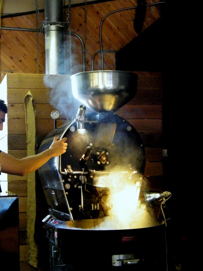 Roasted beans pouring out at Republica Coffee Roasters