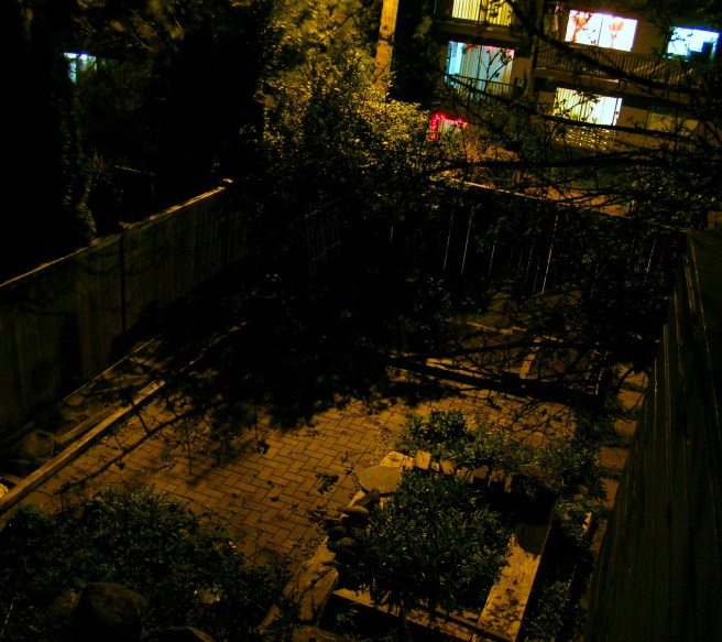 Gardening at Night