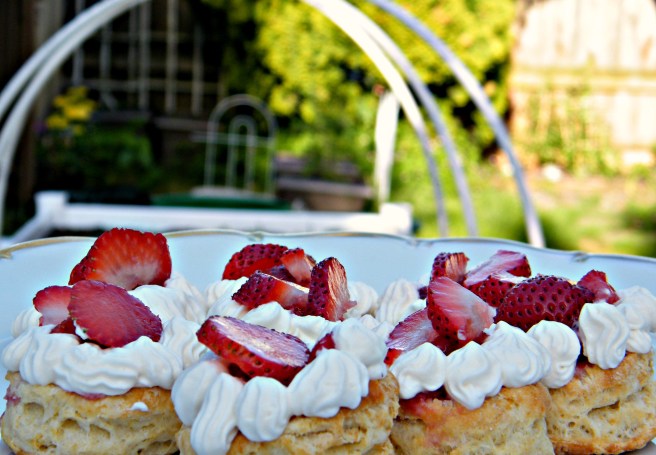 Plateful of shortcakes