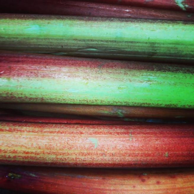 Rhubarb