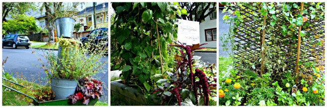 Demonstration Garden