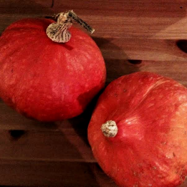 red kuri squash