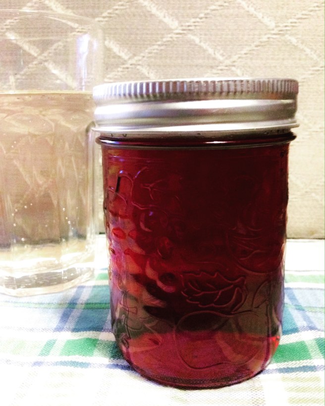Spiced Hibiscus Syrup