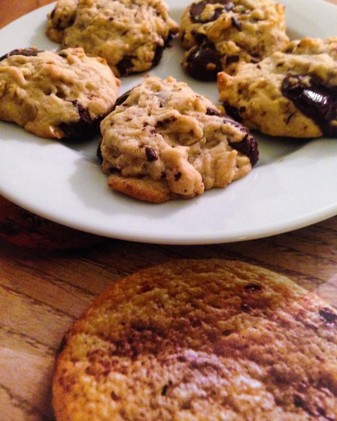 Ten Minute Chocolate Chip Cookies