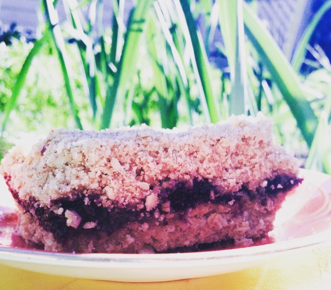 Old-fashioned blueberry bars